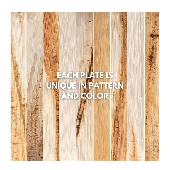 Raj Eco Compostable Palm Leaf Plates like Bamboo Plates Disposable - 8 Inch Squr - Picture 9 of 10